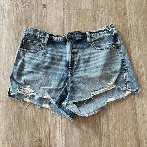 Womens NWOT Aerie Light Wash Denim Jean Shorts - L